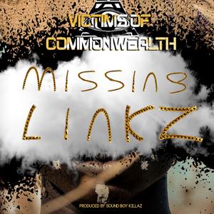 Missing Linkz (feat. Ras Dane Jah, Kalif, Uncle Jay & Tip Top)