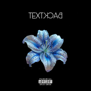 textback.
