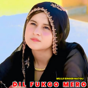Dil Fukgo Mero