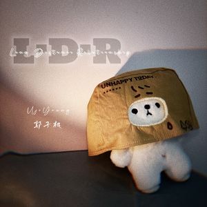 LDR-Long Distance Relationhship