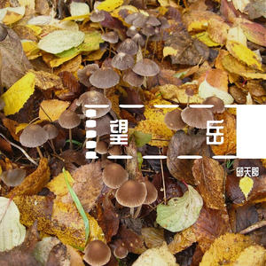 望岳（翻自 赵传）