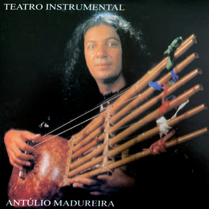 Trenzinho do Caipira (Instrumental)
