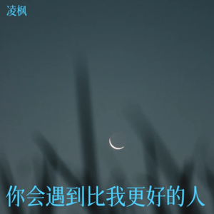 你会遇到比我更好的人
