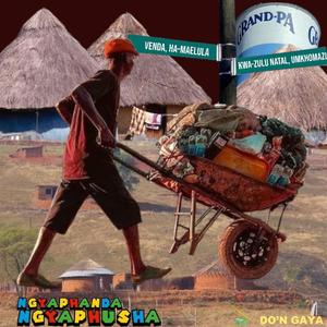 Ngyaphanda Ngyaphusha (feat. Phuzekhemisi)