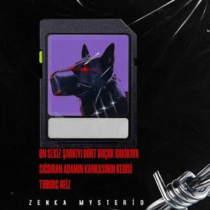 On Sekiz Şarkıyı Dört Buçuk Dakikaya Sığdıran Adamın Kankasının Kedisi Tuborg Reiz