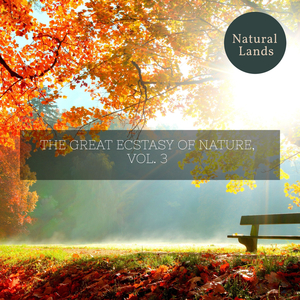 Water Ripples of Grief