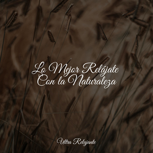 Burbujas En El Tiempo