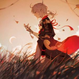 光（翻唱小凯）