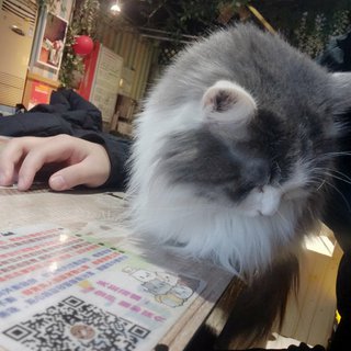 写给错过的人