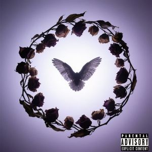 圈(Pord.Siren & EVO MUSIC)