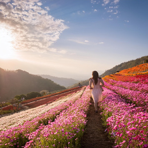 Notas Calmadas En Conjunto