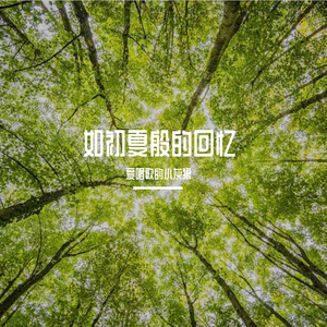 如初夏般的回忆