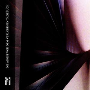 Die Angst Vor Dem Verlorenen Tagebuch