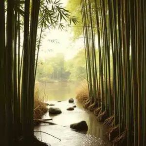 Zen Flow （禅意流淌）