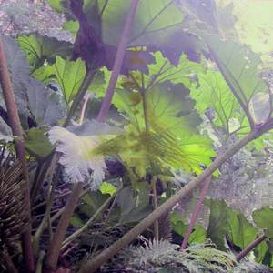 Infinite Spiral (Anticlockwise, Slow)