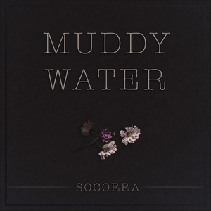 Muddy Water