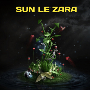 sun le zara