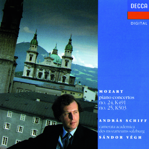 Piano Concerto No. 24 in C minor, K.491:2. Larghetto