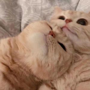 后来（Lessi10 remix）