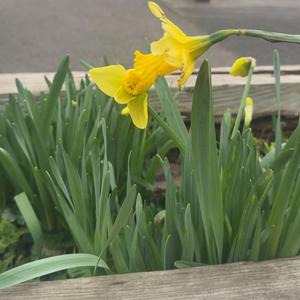 when you close your eyes