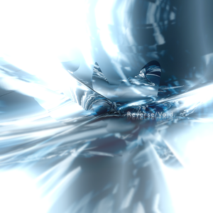 Reverse/Void.