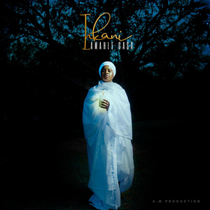 Inkani (feat. King Temoso)