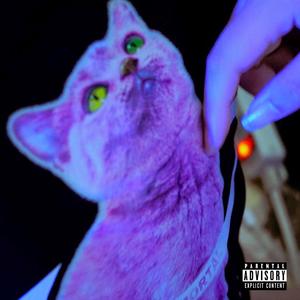 來我家看貓 (feat. Hana)