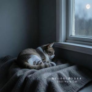 触れない距離、猫だけ近い – Near Cat, Not Touching