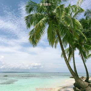 酒店经典的爵士