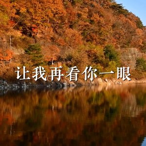 让我再看你一眼