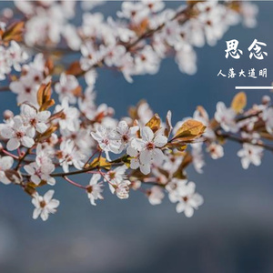 恋爱季