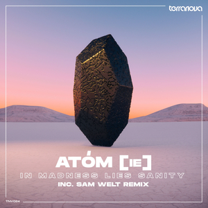 In Madness Lies Sanity (Original Mix)