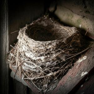 사라지는 작은 친구들