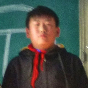 我们总是在寻找（Cover 花粥）