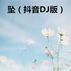 情歌几句 (DJ版)
