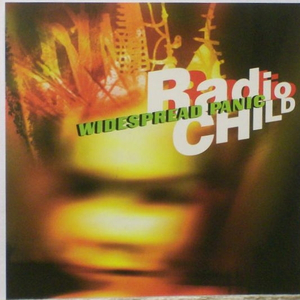 Pickin' Up The Pieces