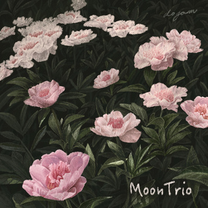 이불이 무거운 날엔 꿈을 꾸었다