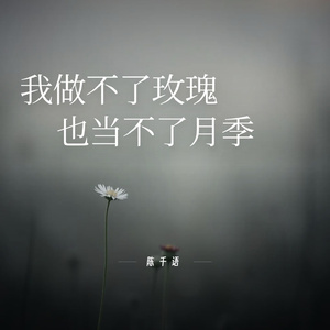 我做不了玫瑰也当不了月季