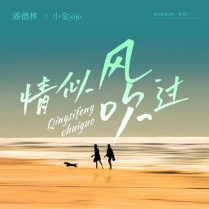 情似风吹过