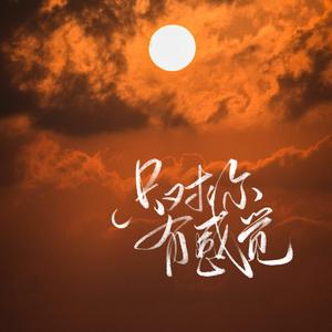 只对你有感觉
