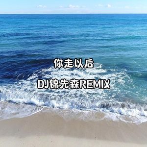 你走以后（DJ锦先森 remix）