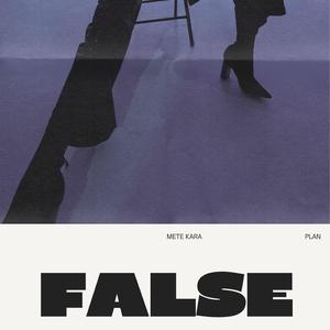 FALSE PLAN