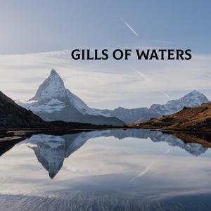 Gills Of Waters