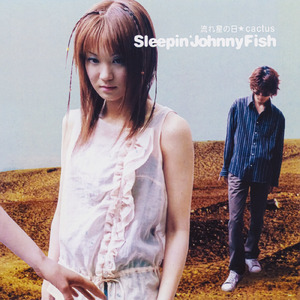 流れ星の日 (OVA Version)