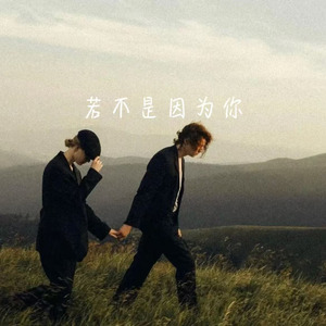 若不是因为你(痴情版)