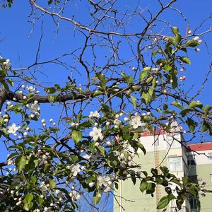 梦话freestylePt.2prodByDolBeatz