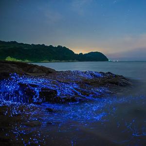 蓝色的荧光海 (6)