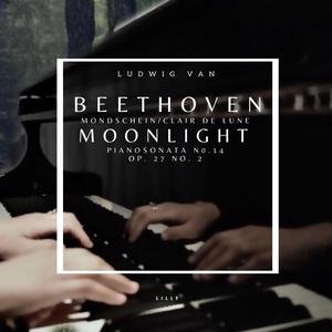 MOONLIGHT PIANOSONATA 3rd Movement