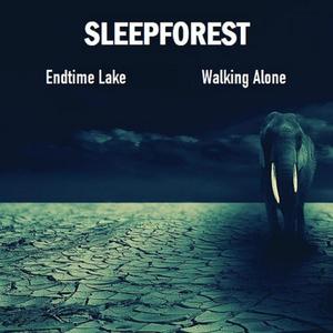 Integrated (Remastered)