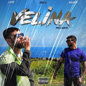 Velina